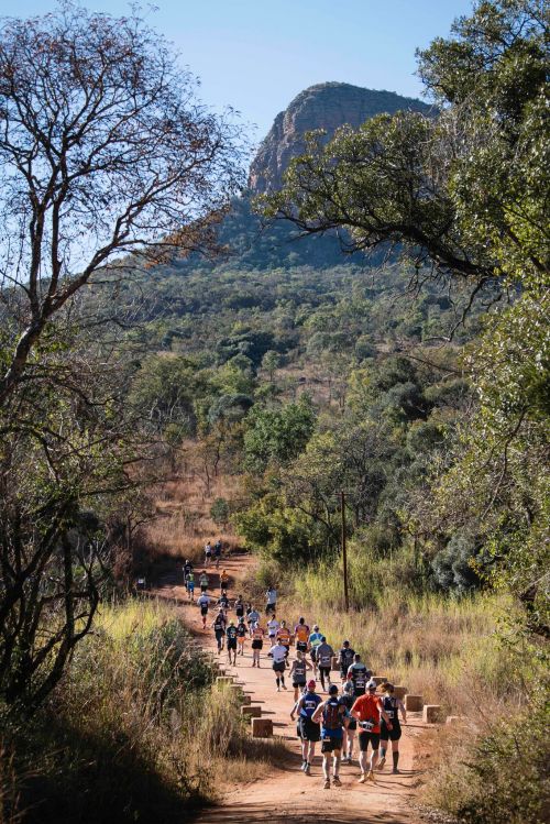 THE BIG FIVE MARATHON | 42K,21K 2023